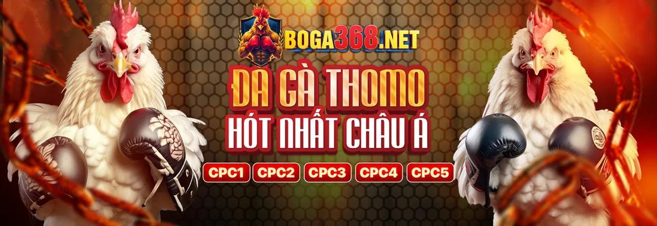 Đá Gà Trực Tuyến 32win3 App